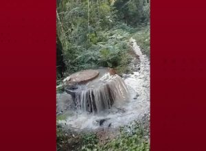 esgoto-extravasa-em-area-de-mata-e-preocupa-moradores-em-cascavel