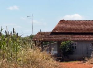menina-de-11-anos-ajuda-a-salvar-mae-em-caso-de-violencia-domestica-em-corbelia
