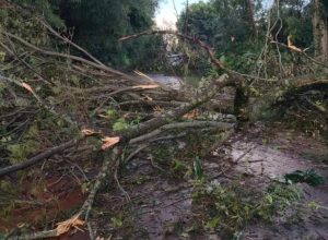 vendaval-causa-estragos-e-interdicoes-em-marechal-rondon-e-terra-roxa