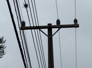 moradores-enfrentam-falta-de-energia-e-registram-perdas-apos-temporal-em-cascavel