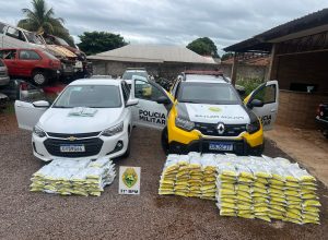 policia-apreende-302-kg-de-agrotoxicos-e-recupera-veiculo-furtado-em-terra-roxa