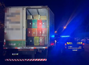 prf-apreende-350-mil-macos-de-cigarros-em-caminhao-que-alegava-estar-vazio-na-br-163