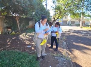 forca-tarefa-intensifica-combate-ao-aedes-aegypti-no-bairro-periolo