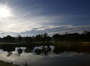 de-olho-no-futuro,-curitiba-amplia-areas-verdes-e-eletrifica-o-transporte