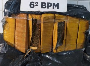 mulher-e-presa-com-25-kg-de-maconha-em-onibus-em-cascavel