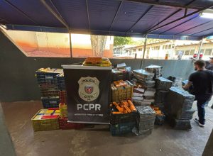 policia-civil-apreende-mais-de-quatro-toneladas-de-maconha-em-foz-do-iguacu