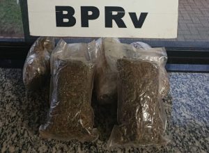 rotam-apreende-skunk-em-veiculo-e-prende-jovem-na-pr-364