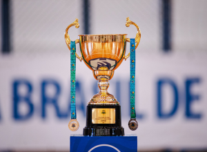 cbfs-divulga-clubes-participantes-da-taca-brasil-1a-divisao-adulto-masculino