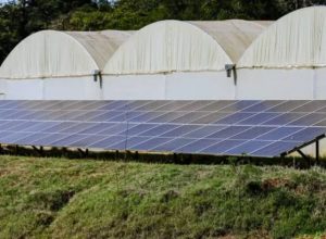 parana-avanca-em-energia-solar-fotovoltaica-e-discute-futuro-do-descarte-de-placas
