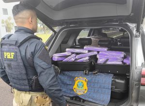 prf-apreende-87-quilos-de-maconha-e-prende-casal-na-br-277