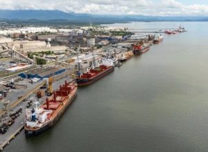 por-que-paranagua-se-tornou-uma-das-cidades-mais-violentas-do-brasil?