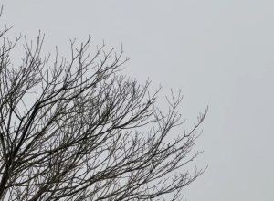 neblina-persiste-em-cascavel-e-dificulta-rotina-de-quem-precisa-secar-roupas