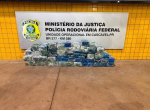prf-apreende-139-kg-de-cocaina-escondidos-em-assoalho-de-carreta
