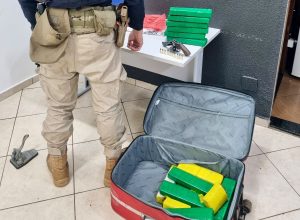 passageiro-de-onibus-e-preso-com-maconha-e-arma-na-br-277