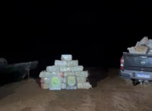 bpfron-e-policia-federal-apreendem-mais-de-1,2-tonelada-de-maconha-em-santa-helena