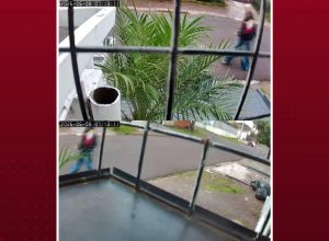 adolescente-e-atropelada-a-caminho-da-escola-e-motorista-foge-sem-prestar-socorro-em-cascavel