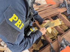 prf-apreende-mais-de-meia-tonelada-de-maconha-escondida-em-caminhao-no-parana