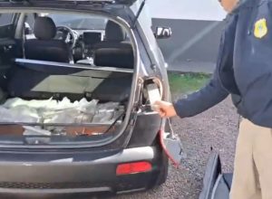 casal-e-preso-com-fundo-falso-de-maconha-na-br-369-em-cascavel