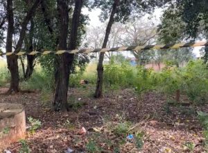 adolescente-de-15-anos-e-encontrada-morta-em-area-de-mata-em-foz-do-iguacu