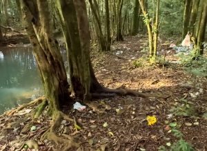 moradores-denunciam-abandono-em-area-de-mata-proxima-ao-lago-de-cascavel