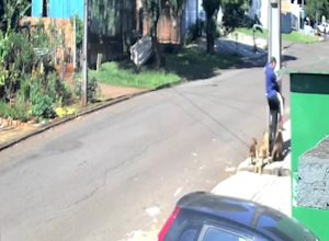ataque-de-caes-deixa-homem-ferido-e-reacende-debate-sobre-animais-soltos-em-cascavel