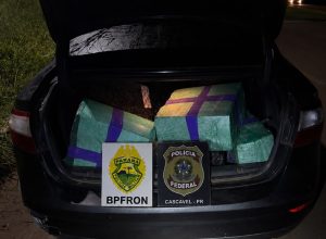bpfron-e-policia-federal-apreendem-480-kg-de-maconha-apos-perseguicao-na-br-277