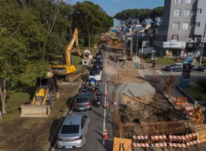 ibama-multa-prefeitura-de-curitiba-por-corte-de-arvores-em-avenida