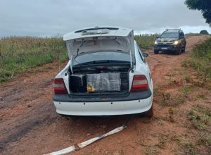 prf-apreende-quase-1,3-tonelada-de-drogas-e-recupera-veiculos-adulterados-no-oeste-do-parana