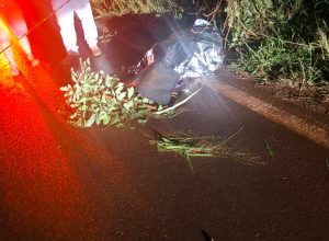 motociclista-morre-apos-colisao-traseira-na-pr-575,-em-nova-aurora