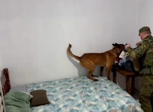 manha-tem-tres-operacoes-simultaneas-da-policia-em-cascavel
