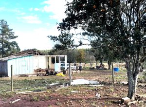 simepar-confirma-tornado-de-categoria-f2-em-reserva