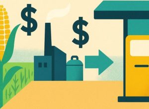 o-que-esta-por-tras-dos-investimentos-bilionarios-no-etanol-de-milho