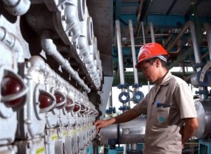 do-cultivo-ao-consumo:-como-a-logistica-desafia-o-crescimento-industrial-do-parana