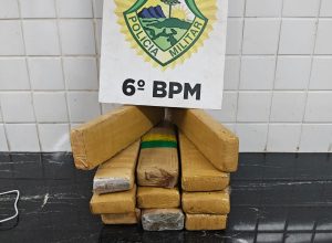 pm-apreende-10-kg-de-maconha-e-prende-jovem-na-rodoviaria-de-cascavel