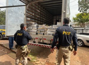 prf-apreende-caminhao-carregado-com-976,7-quilos-de-maconha-em-cascavel
