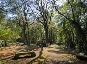 moradores-em-situacao-de-rua-geram-preocupacao-no-parque-vitoria-em-cascavel