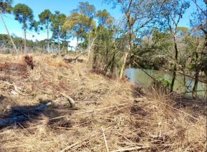 dano-ambiental-em-rio-azul:-proprietario-e-multado-e-area-e-embargada