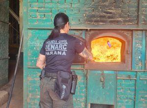 policia-civil-destroi-mais-de-2-toneladas-de-drogas-apreendidas-nos-ultimos-meses