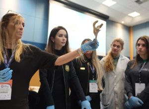 de-yanomami-ao-stf:-elite-da-pericia-criminal-debate-investigacoes-que-marcaram-o-brasil