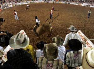 festa-do-peao-de-barretos-reune-shows-e-rodeios-ate-31-de-agosto