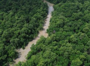 tratado-de-cooperacao-amazonica-reforca-compromissos-da-cop30
