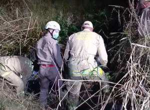 corpo-em-estado-avancado-de-decomposicao-e-encontrado-em-matagal-em-foz-do-iguacu