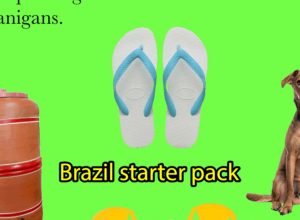 exposicao-de-memes-leva-arte-e-critica-social-ao-ccbb-sao-paulo