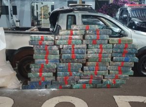 policia-apreende-mais-de-630-kg-de-drogas-em-abordagem-na-pr-317-em-toledo