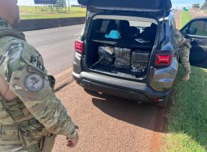 prf-apreende-quase-200-kg-de-maconha-e-recupera-veiculo-roubado-na-br-277-em-cascavel