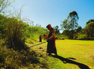 cascavel-lanca-programa-inedito-que-levara-acoes-de-conscientizacao-ambiental-para-bairros