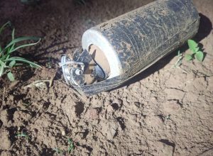 esquadrao-antibombas-a-caminho-de-cascavel-para-avaliar-granada-em-marginal-da-br-369