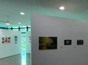 exposicao-“liberdade”,-de-rose-orth,-celebra-superacao-e-poder-transformador-da-arte
