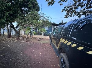 pf-deflagra-operacao-“rota-binacional”-contra-o-trafico-de-drogas