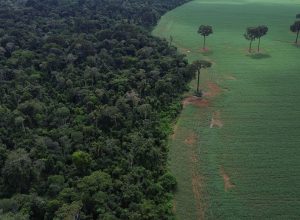 indigenas-discutem-sobre-mudancas-climaticas-em-evento-em-sao-paulo